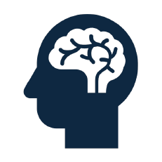 Menschliche Kopf mit sichtbarem Gehirn